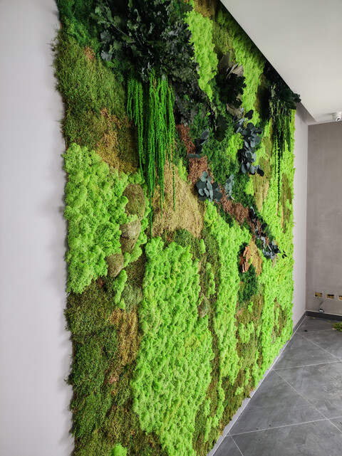 Giardini Vegetali Preservati - Adatti soltanto per interni . - Stile Jagur Ivy