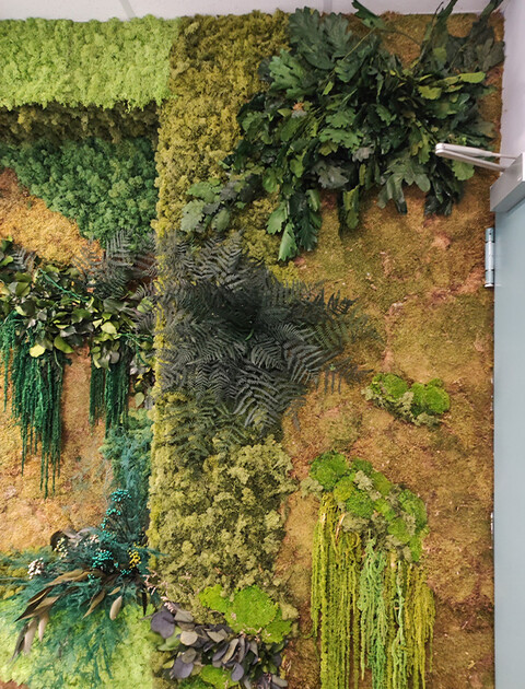 Giardini Vegetali Preservati - Adatti soltanto per interni . - Stile Nicchia 87