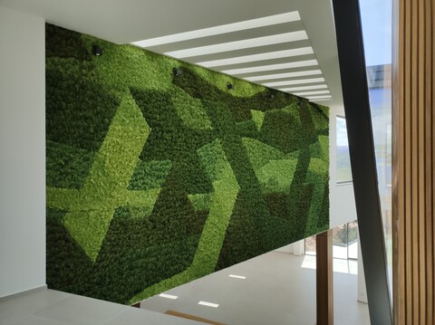 Parete Moss Stabilizzata - Sconti per Fioristi e Aziende . - Wall Moss a metro quadrato
