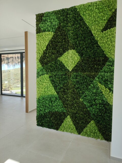 Parete Moss Stabilizzata - Sconti per Fioristi e Aziende . - Wall Moss a metro quadrato
