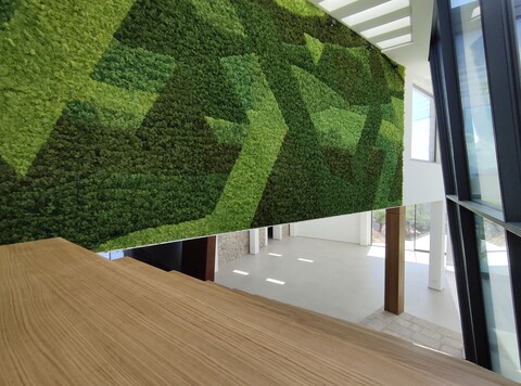 Parete Moss Stabilizzata - Sconti per Fioristi e Aziende . - Wall Moss a metro quadrato