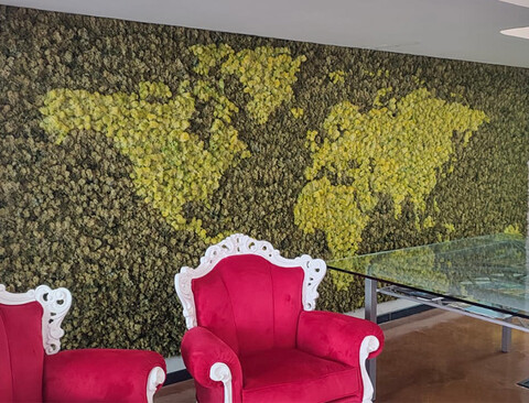 Parete Moss Stabilizzata - Sconti per Fioristi e Aziende . - Stile Planisfero