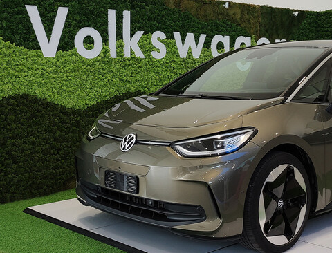 Parete Moss Stabilizzata - Sconti per Fioristi e Aziende . - Stile WW Catania