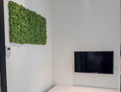 Parete Moss Stabilizzata - Sconti per Fioristi e Aziende . - Stile Sky Roma