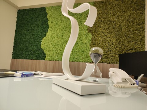 Parete Moss Stabilizzata - Sconti per Fioristi e Aziende . - Wall Moss a metro quadrato