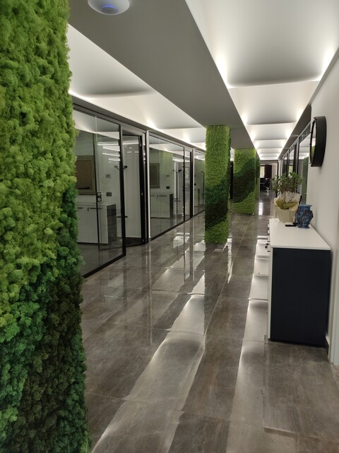 Parete Moss Stabilizzata - Sconti per Fioristi e Aziende . - Wall Moss a metro quadrato