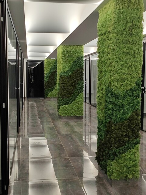 Parete Moss Stabilizzata - Sconti per Fioristi e Aziende . - Wall Moss a metro quadrato