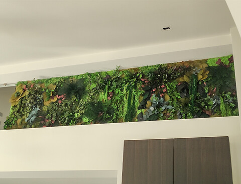 Giardini Vegetali Preservati - Sconti per Fioristi e Aziende . - Stile Ortigia 10