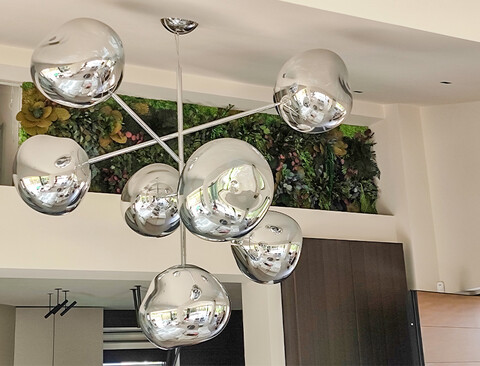 Giardini Vegetali Preservati - Sconti per Fioristi e Aziende . - Adatto per Interno