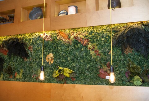 Giardini Vegetali Preservati - Sconti per Fioristi e Aziende . - Adatto per Interno