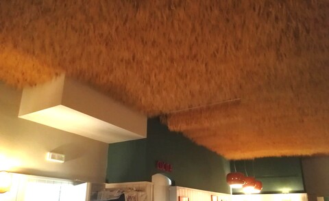 Soffitto Spighe di grano preservate per Ristoranti, Hotels e Resort . - a metro quadrato
