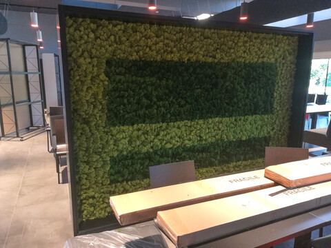 Parete Moss Stabilizzata - Mod. PA.2018 . - Wall Moss a metro quadrato