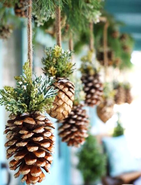 Pigne Aperte Picea dm. 11/12 - Sconti per Fioristi e Aziende - H 12/14 Conf. 1 Kg.