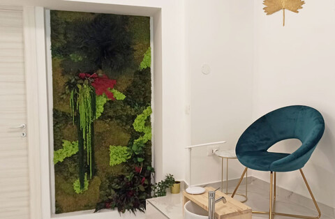 Giardini Vegetali Preservati - Sconti per Fioristi e Aziende - Adatto per Interno