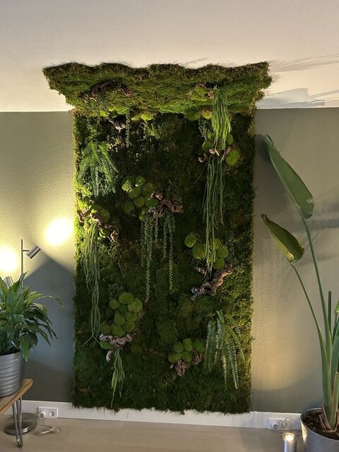 Giardini Vegetali Preservati - Sconti per Fioristi e Aziende - Adatto per Interno