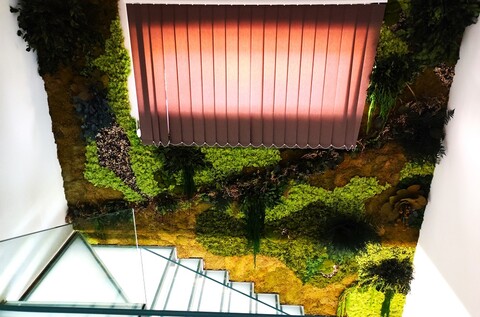 Giardini Vegetali Preservati - Sconti per Fioristi e Aziende - Adatto per Interno