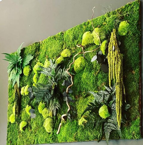 Giardini Vegetali Preservati - Sconti per Fioristi e Aziende - Adatto per Interno