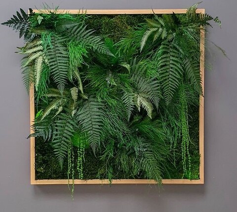 Giardini Vegetali Preservati - Sconti per Fioristi e Aziende - Adatto per Interno