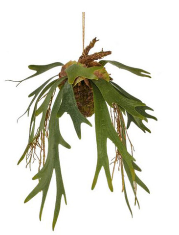 Platicerium Bifurcuto H 80 - Sconti per Fioristi e Aziende . - Corna d'Alce x 7 Artificiale