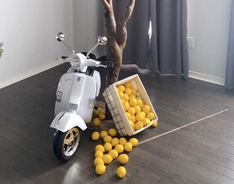 Limone artificiale in plastica - Sconti per Fioristi e Aziende e Wedding . -cm. 6 x 8