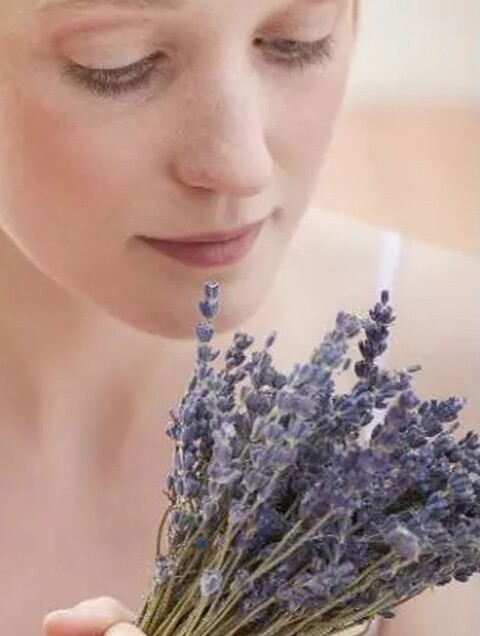 Lavanda naturale profumata Mazzo gr. 40- Sconti per Fioristi e Aziende . - H 30