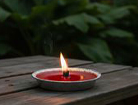 Padellina romana alla citronella in coccio Ø 12 cm. - Sconti per Fioristi e Aziende
