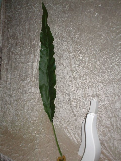 Foglia di Banano H 130
