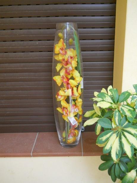 Vaso vetro oliva H 60