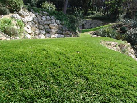 Prato Sintetico alto mm.32 - Sconto per Fioristi e Aziende . - Rotolo H 200 x 25 mt.