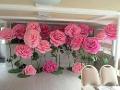 Rosa Gigante dm.30 - 50- 70 Rosa cipria in polietilene - Sconti per Fioristi e Aziende