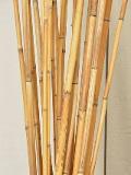 Canna Bamboo per Agricoltura dm. 2,0/2,2 - H 180 - 210 - Sconti per Fioristi e Aziende