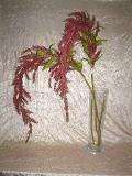 Amaranthus Caudatun in gomma cm. 160 tutto animato - Sconti per Fioristi e Aziende