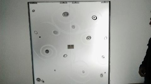 Porta temperata in vetro 10mm satinato a doppia anta decorata con motivi in sabbiatura e particolari lavorati in scavatura e colorazione.