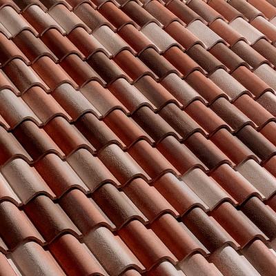 Coppo del Borgo BMI Wierer Coppo del Borgo