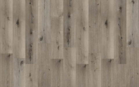 BeFloor Evo Rg distribution Pavimenti in spc