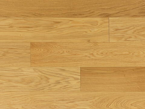 Cosmo Rg distribution parquet