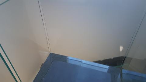 20170131_163737.jpg