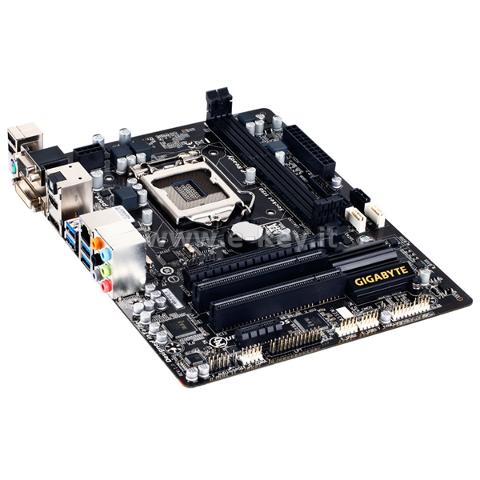 Scheda Madre Gigabyte GA-H81M-HD3 Gigabyte GA-H81M-HD3 Gigabyte  GA-H81M-HD3