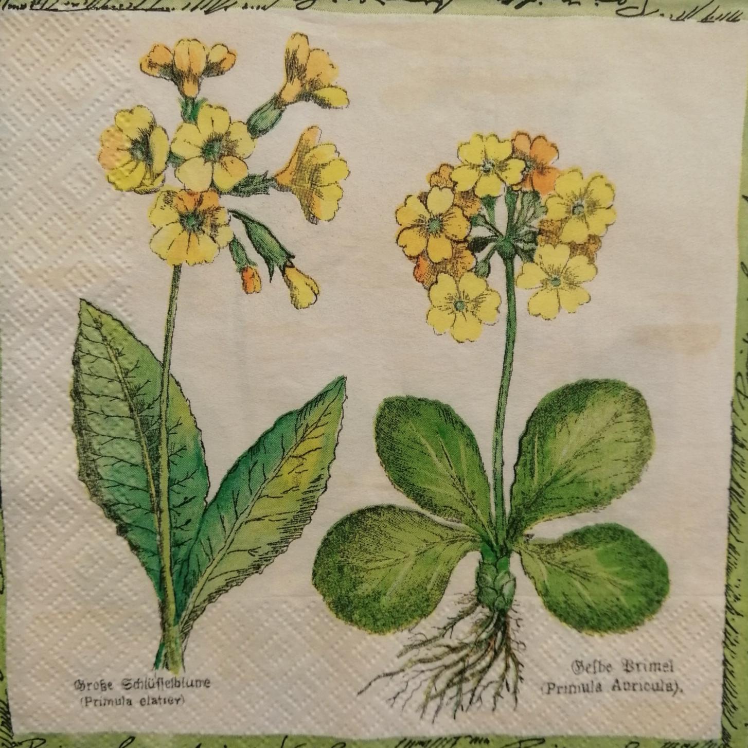 tovaglioli per decoupage fiori ginestre arti e grafica busta da 2 pezzi 33 x 33 cm
