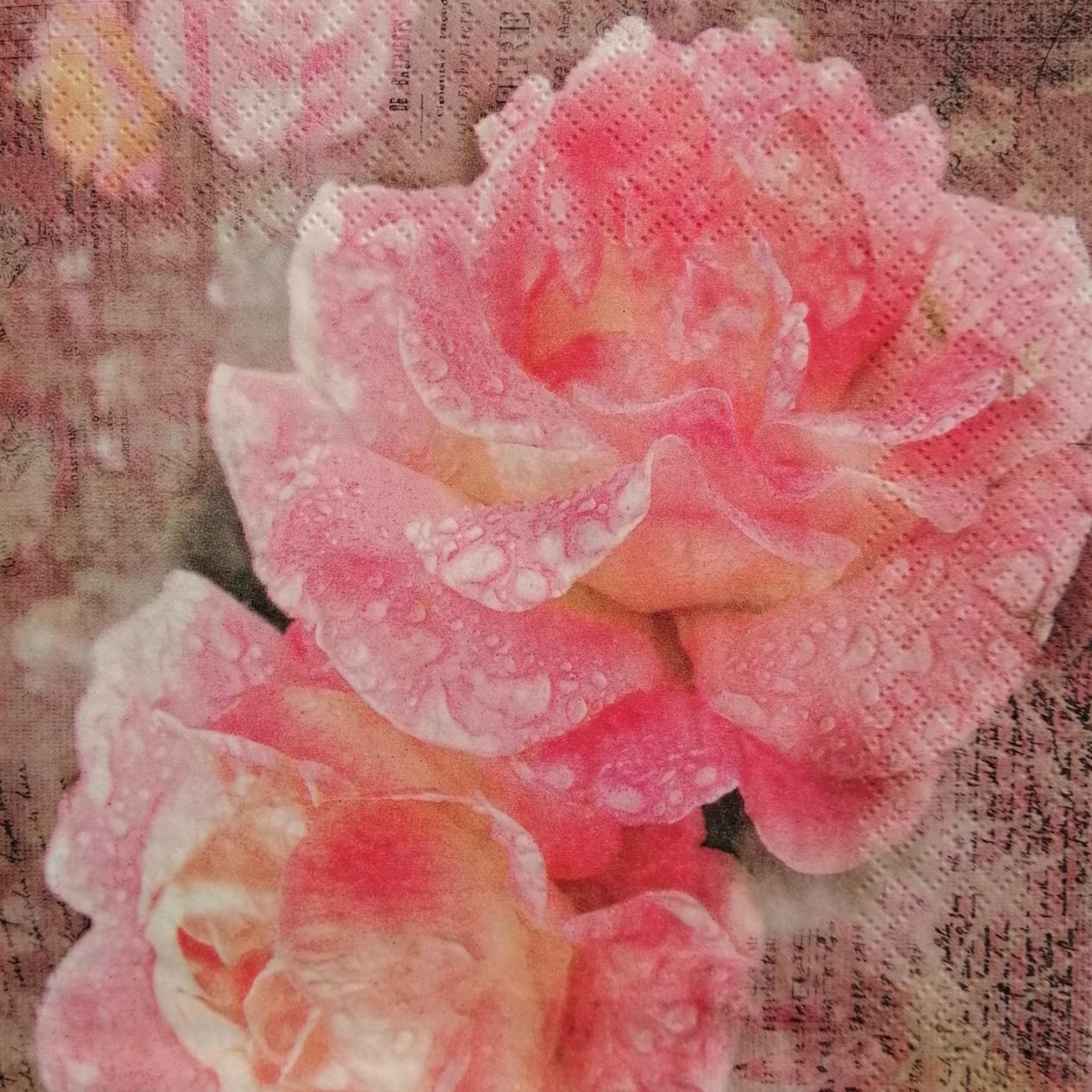 tovaglioli per decoupage rose shabby arti e grafica busta da 2 pezzi 33 x  33 cm - Bagheria (Palermo)