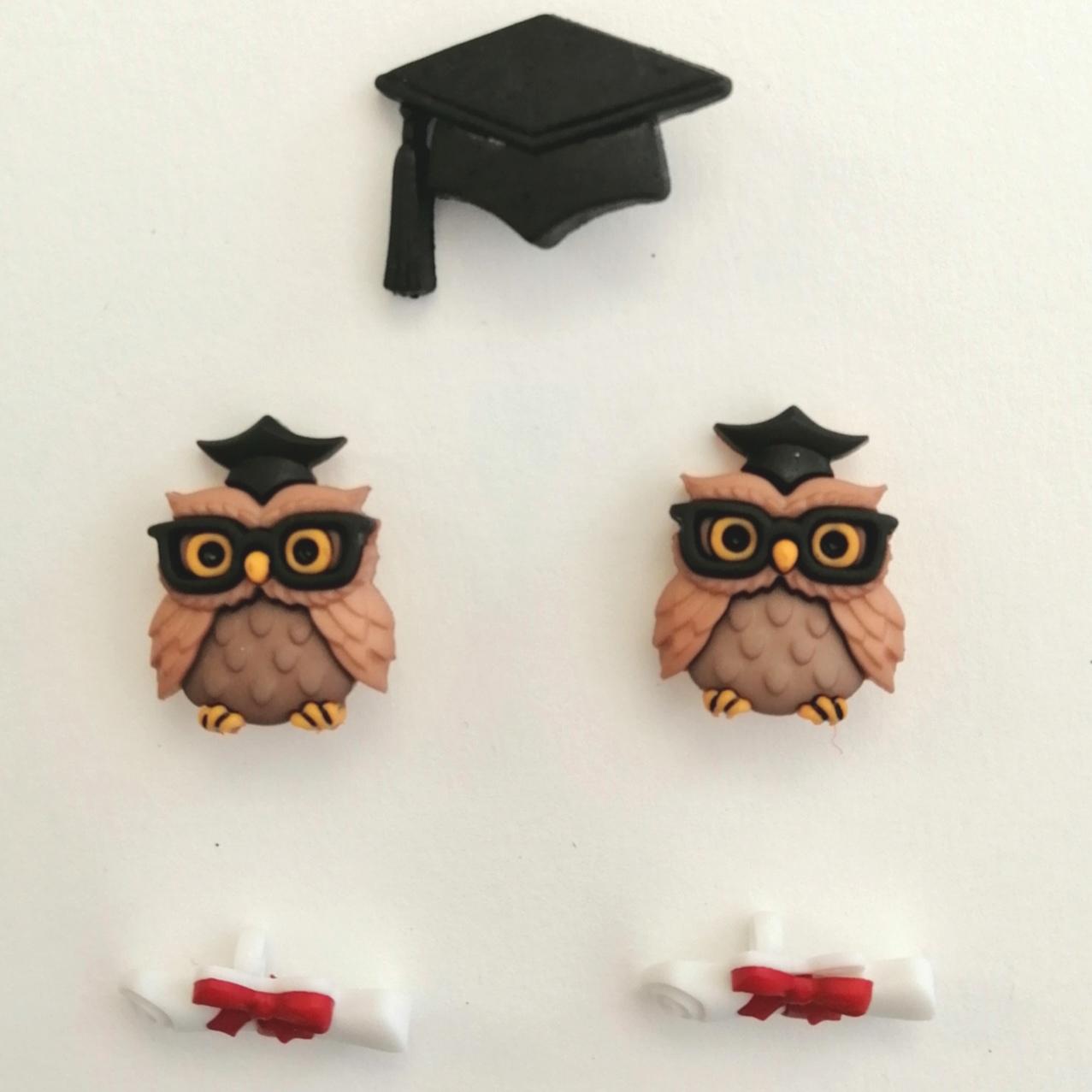 Bottoni decorativi  soggetti laurea in resina Stafil 5 pezzi assortiti per 2 cm