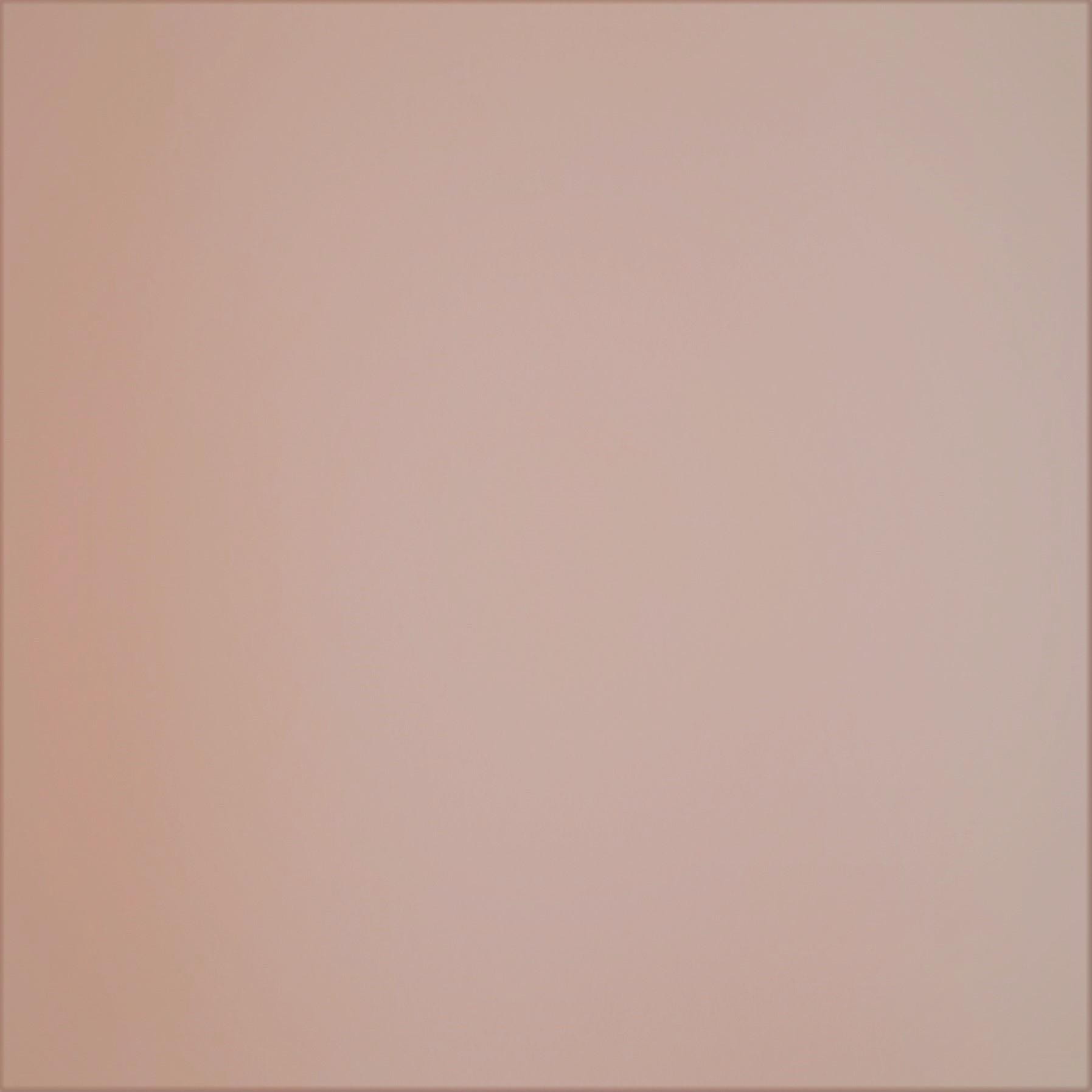 Feltro Rosa Chiaro 2 mm Arti e Grafica 100 x 50cm