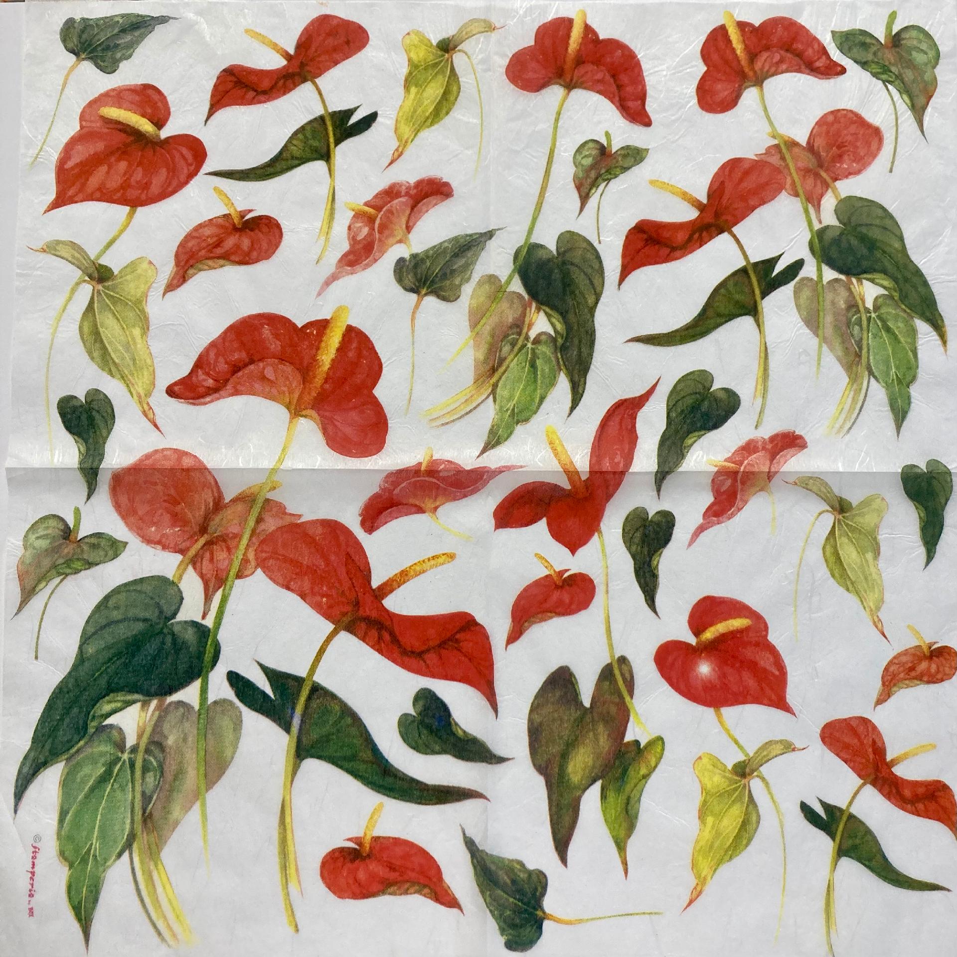 Tovagliolo in carta riso - Anthurium stamperia 50 x 50 cm