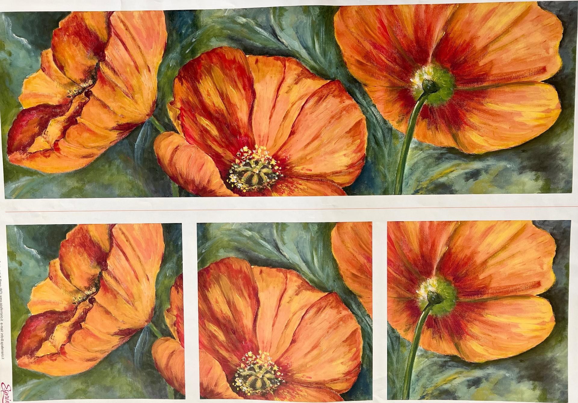 Carta Classic - Papaveri (sc2) Esprimo 50x70 cm