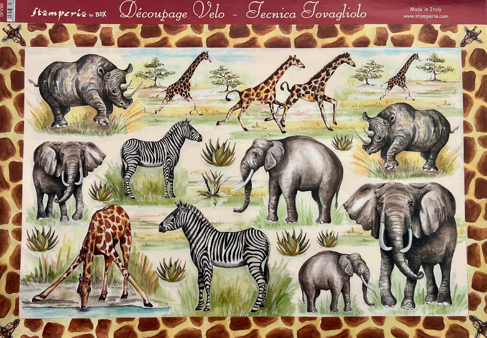 Carta velo - Safari (sc2) stamperia 31 x 48 cm