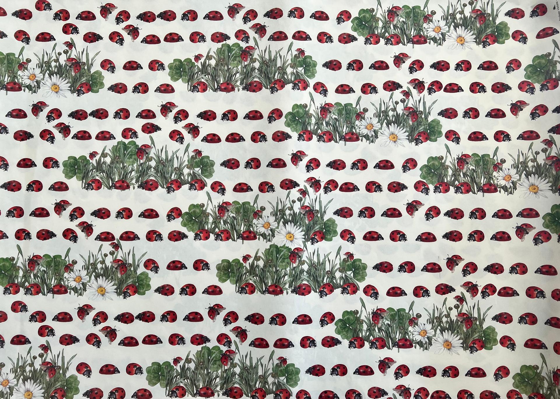 Carta Classic - Coccinelle (sc2) Arti e Grafica 50x70 cm