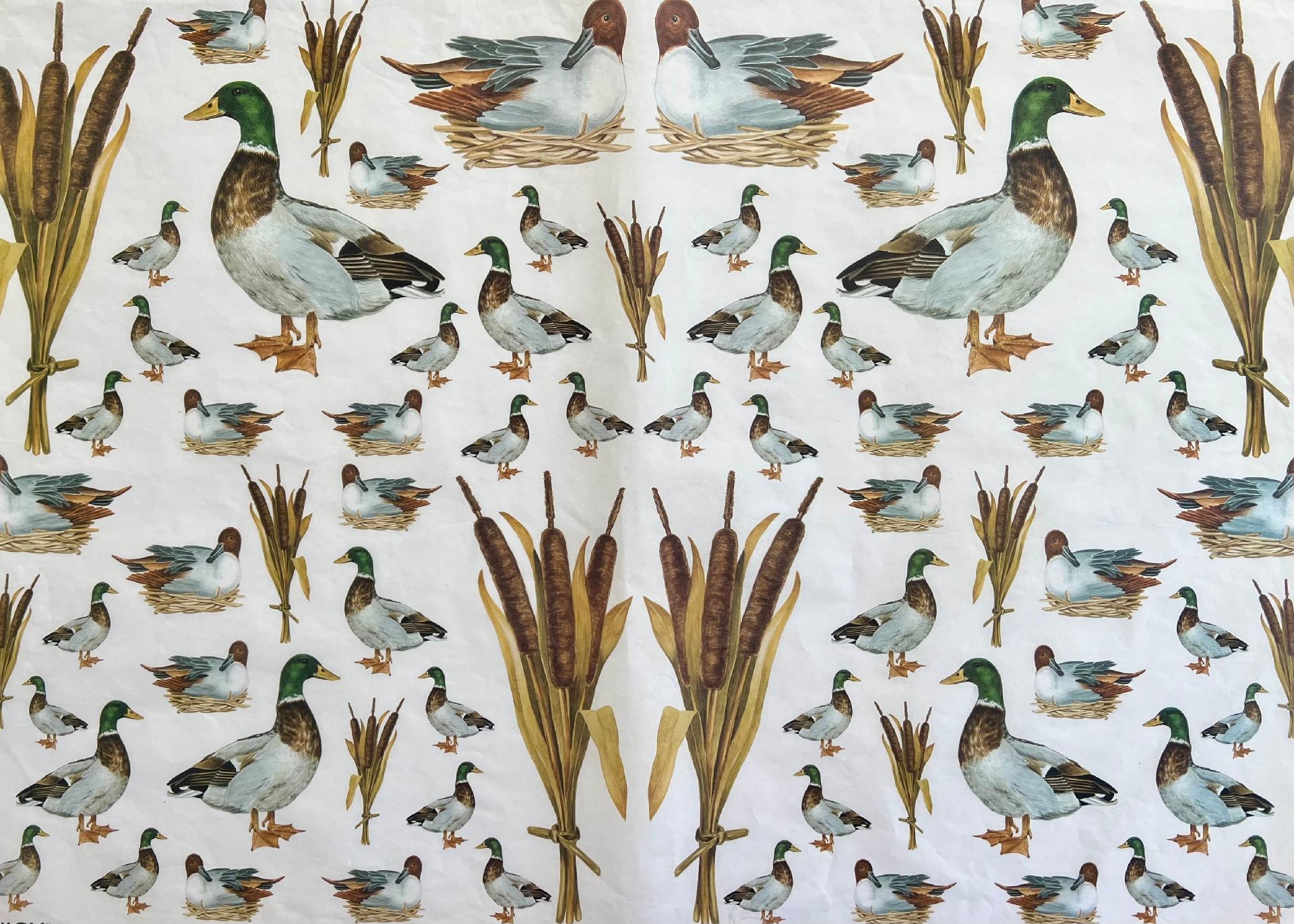 Carta velo - Mallards (SC1) Enjoy Paper 50 x 70 cm