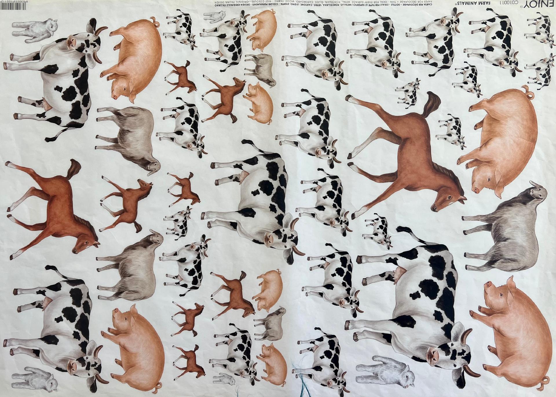 Carta velo - Animali della Fattoria (SC1) Enjoy Paper 50 x 70 cm