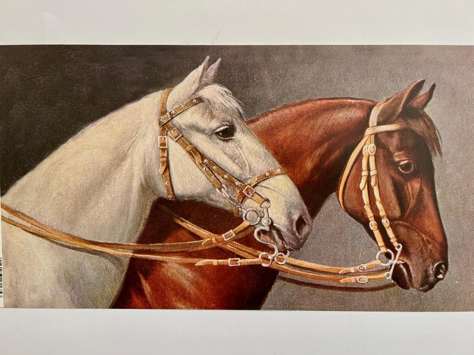 Carta 3D per Découpage - Cavalli Stamperia 48 cm x 25 cm