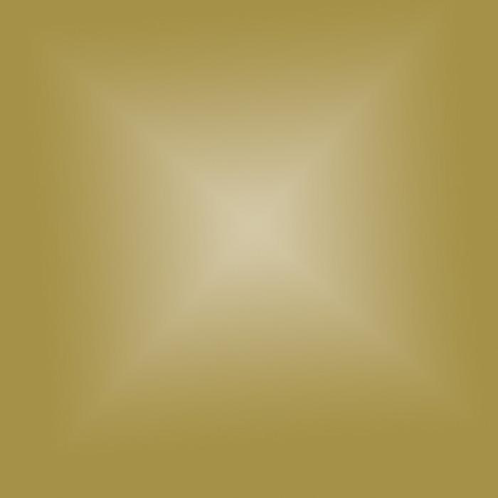 Termovinile EasyWeed Gold Siser A4